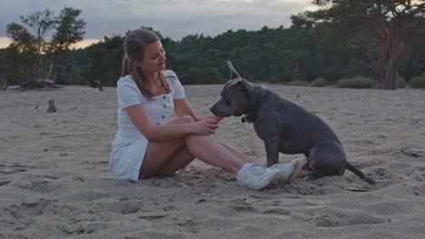 mujer joven acariciando y besando a un staffordshire terrier americano mientras se sienta en las dunas de arena a la hora dorada