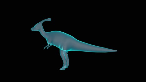 una holografía 3d de parasaurolophus en representación de rayos x