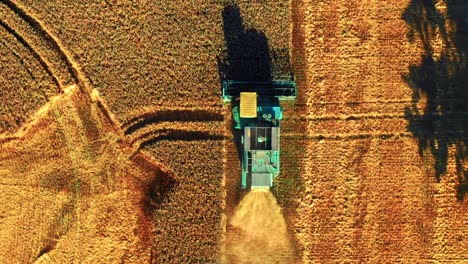 top down view of agricultural combine harvesting crop in farm field in lithuania - drone shot