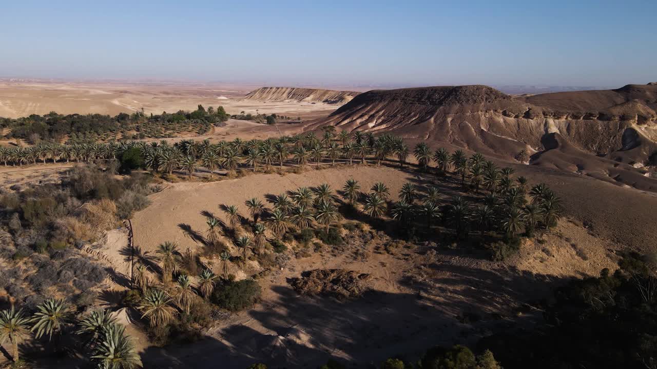 Palm grove oasis in Neot Smadar, Israel, encircled by rugged hills and arid Negev Desert under clear blue sky, wide aerial movement, drone orbiting shot
