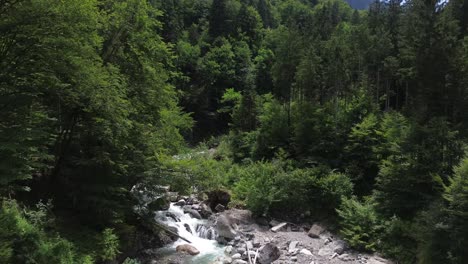 drone fly above forest with turquoise mountain river in austria, europe