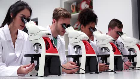 medical students working with microscopes