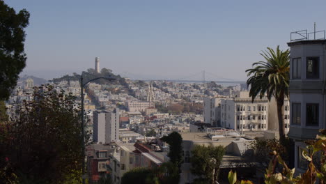 a view of residences and structures along lombard street with coit tower in the distance in san francisco, california - wide shot