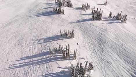 Drone-view-of-a-snowmobile-through-a-beautiful-snowed-hill-in-Revelstoke,-Canada