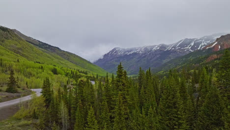 drone sobrevuela el bosque en la cumbre de las montañas de hierro en ironton, colorado