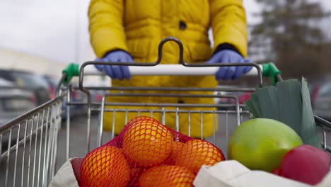 Vídeo-De-Vista-Frontal-De-La-Cesta-De-La-Compra-Llena.