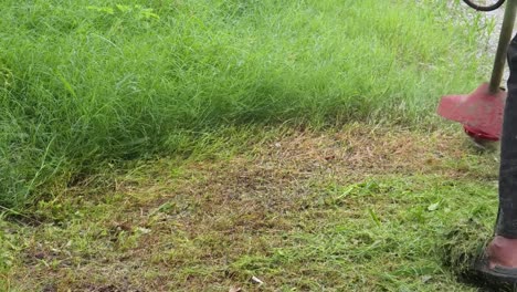 weed wacker en acción