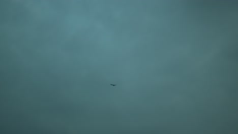 mysterious object flying under an overcast sky, hinting at unidentified phenomena