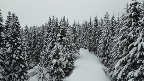 Flying-through-snow-covered-forest-during-snowfall-in-Idaho,-USA