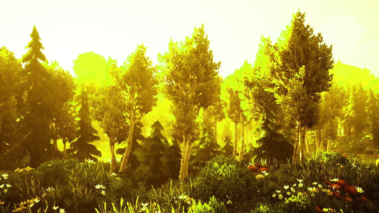 Vibrant forest bathed in golden light during a serene morning