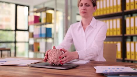 woman holding human brain model in office