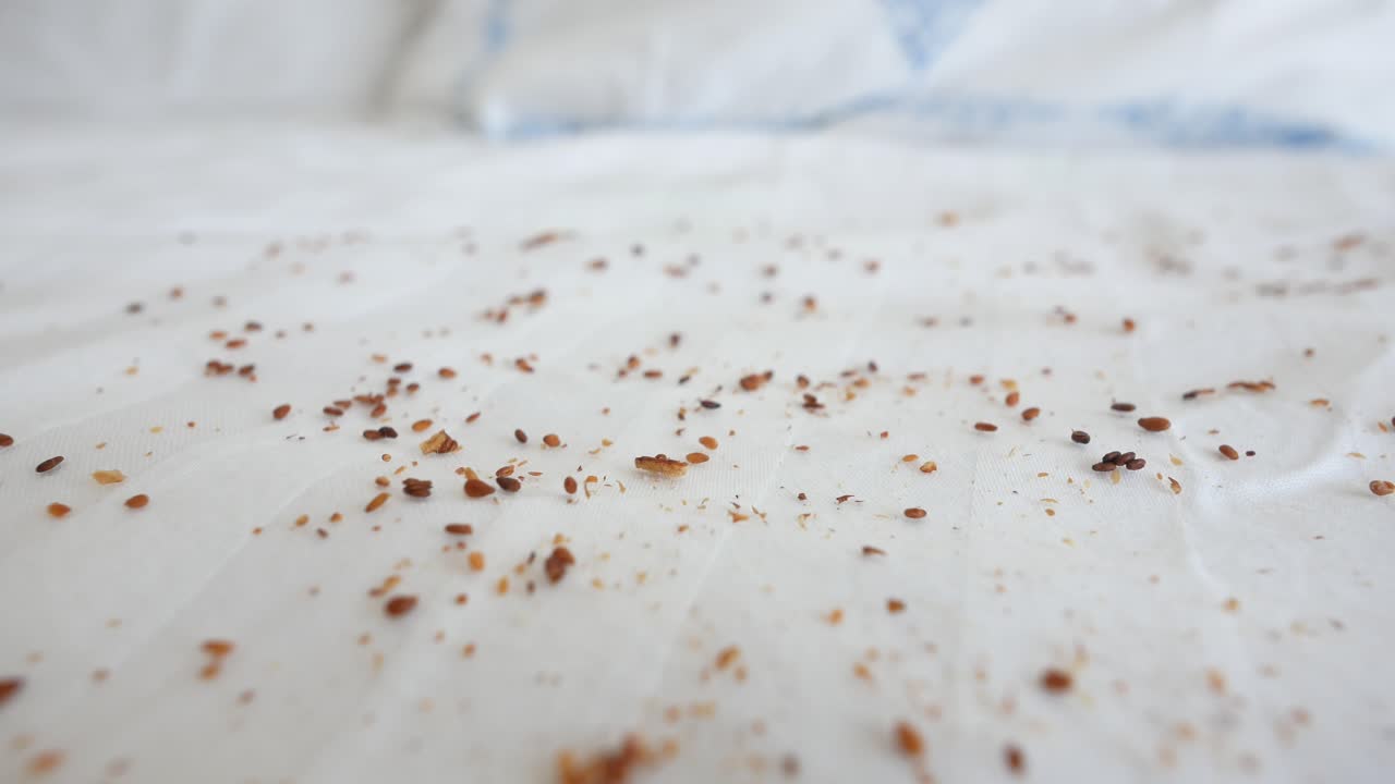 primer plano de migas en una sábana blanca