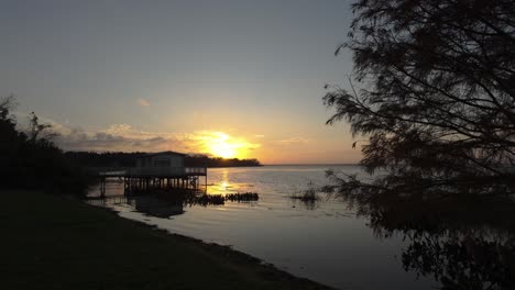 Silhouette-Eines-Baumes-Bei-Sonnenuntergang,-Der-Sich-über-Ruhiges-Seewasser-Spiegelt