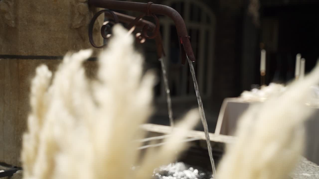 배경에 장식이 있는 결혼식에서 전경에 팜파스 잔디가 있는 분수