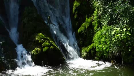 Waterfall-and-moss-in-Mills-Pond-Park-in-San-Saba-Texas