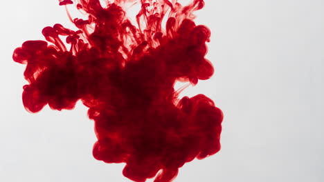 liquid art blood injection on white background