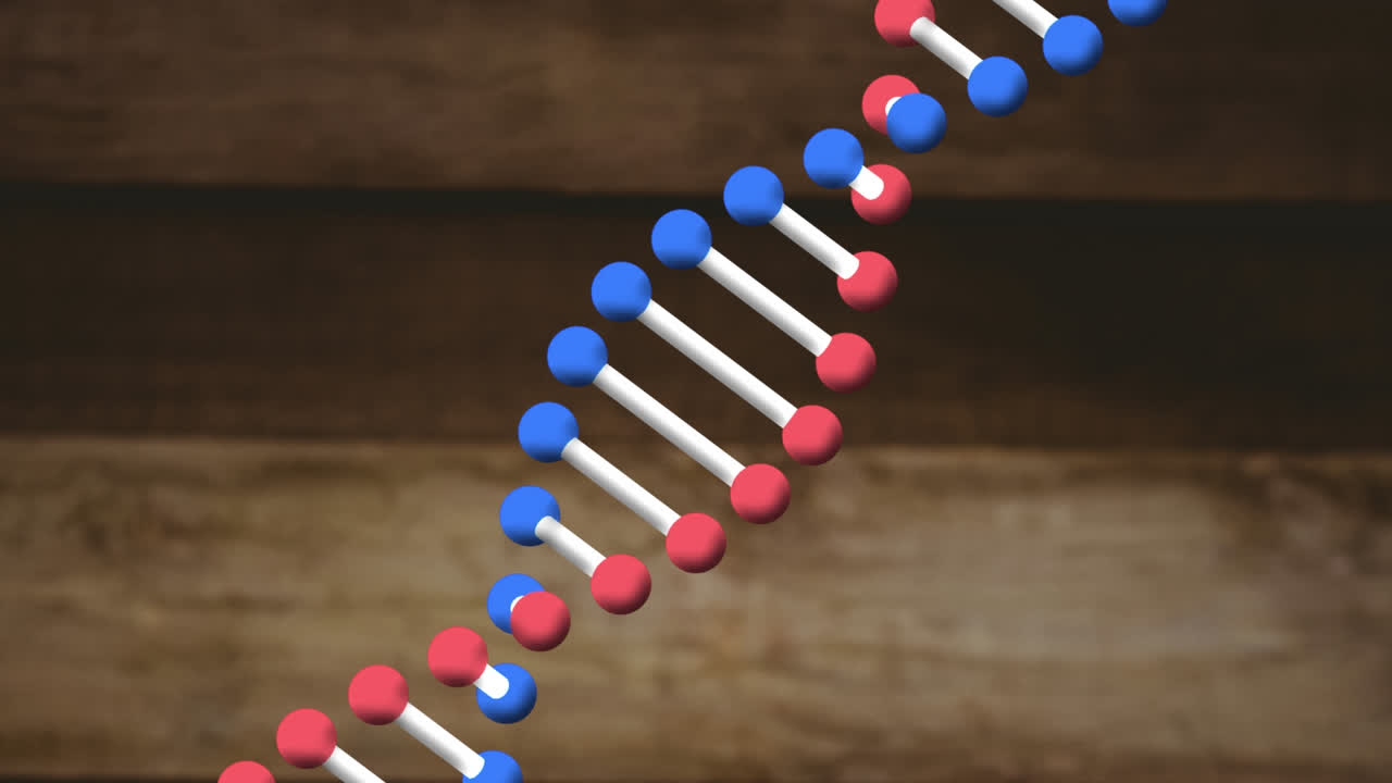 animación de una cadena de adn girando sobre un fondo de madera