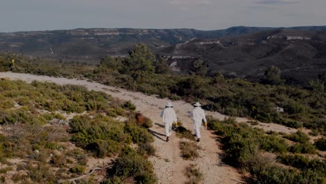 Aerial-view-of-beekeepers-walk-to-hives-to-collect-honey