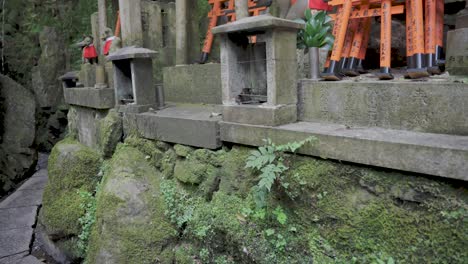 caminando por la parte trasera del santuario fushimi inari, toma de punto de vista, kyoto japón