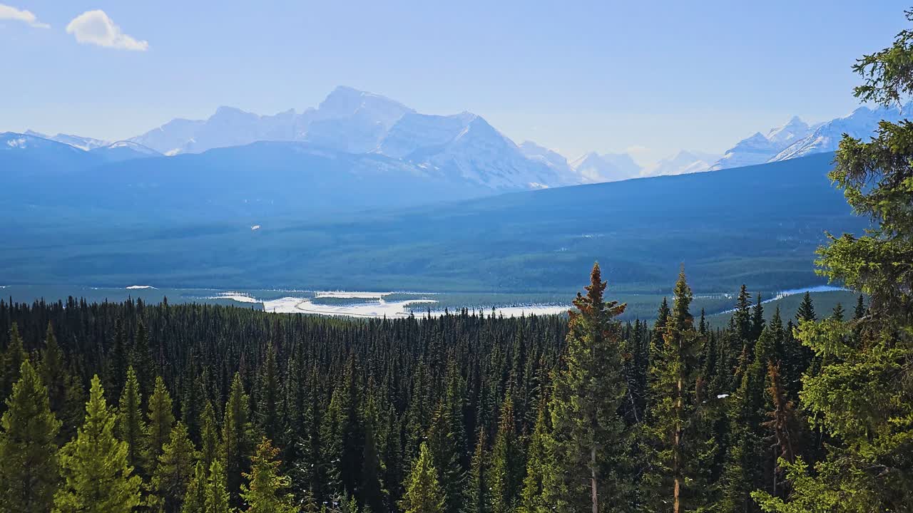 La vista montana del Parco Nazionale di Banff si estende sopra una fitta foresta di pini e corsi d'acqua tortuosi, mettendo in risalto un nitido paesaggio alpino, creste montuose drammatiche e un incontaminato ambiente esterno canadese.