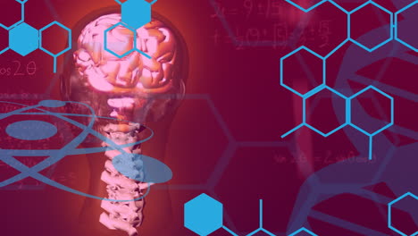 animación de estructuras químicas y ecuaciones matemáticas contra un fondo rosado