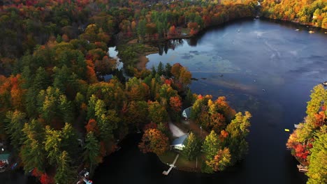 aerial view, lake houses, picturesque lakeside and vivid forest on sunny autumn day