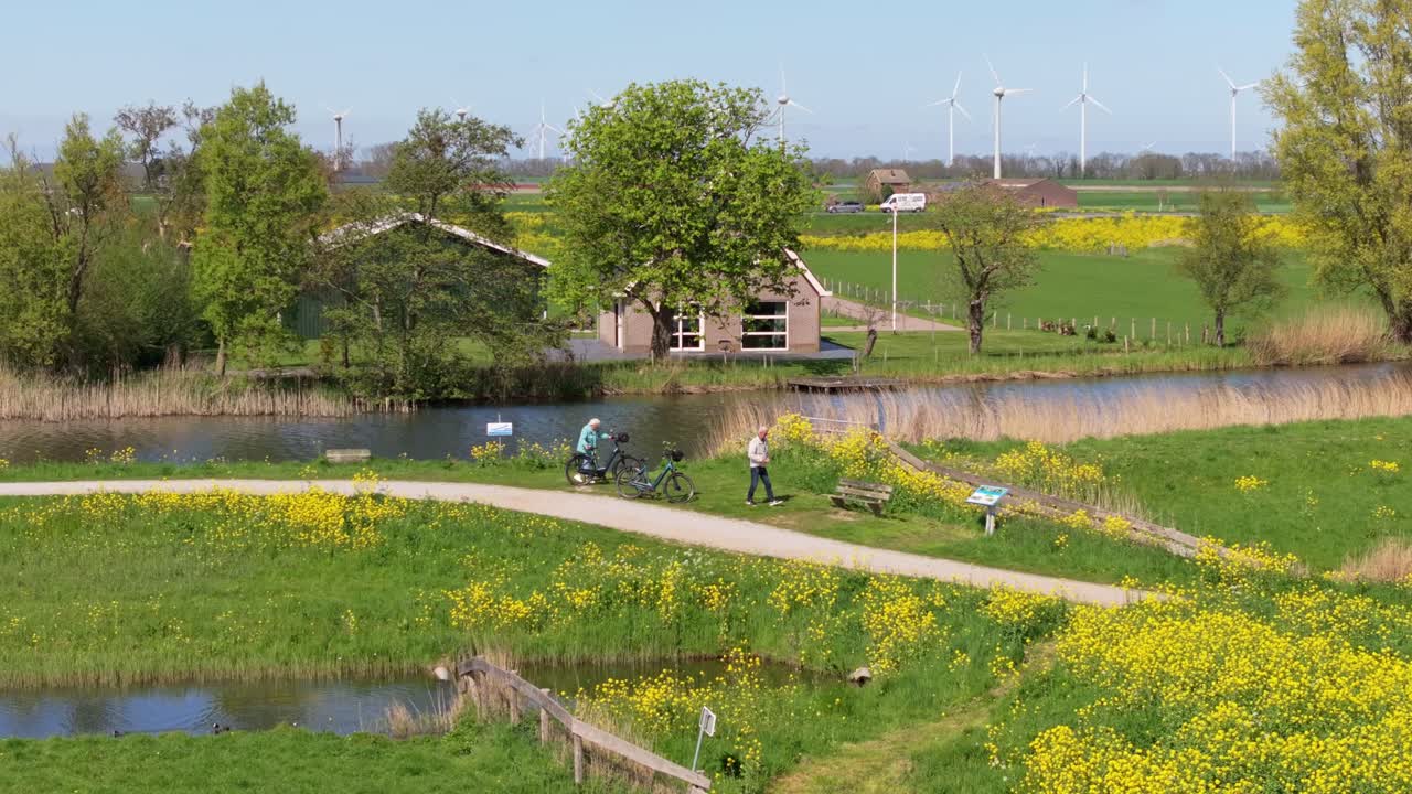 オランダのチューリップ畑の間を通る田園のサイクリングロードの動きの空撮。