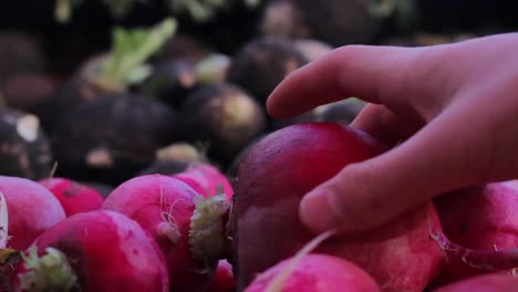 shopping vegetable in greengrocer 3