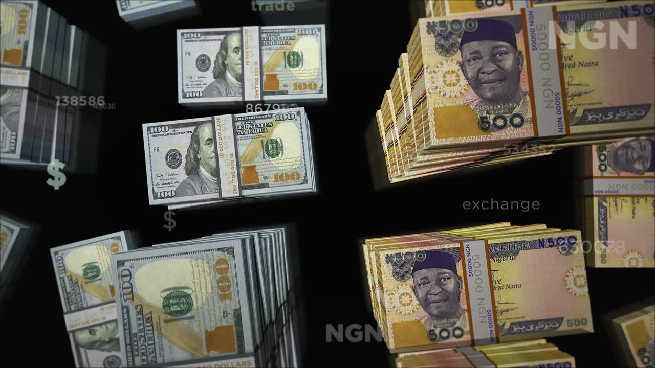 미국 달러와 나이지리아 나이라 화폐 교환 루프 애니메이션