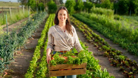 Woman-farmer,-agriculture-and-vegetables-in-box