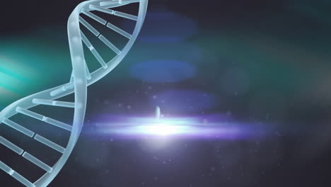 video de la cadena de adn girando con espacio de copia en fondo verde
