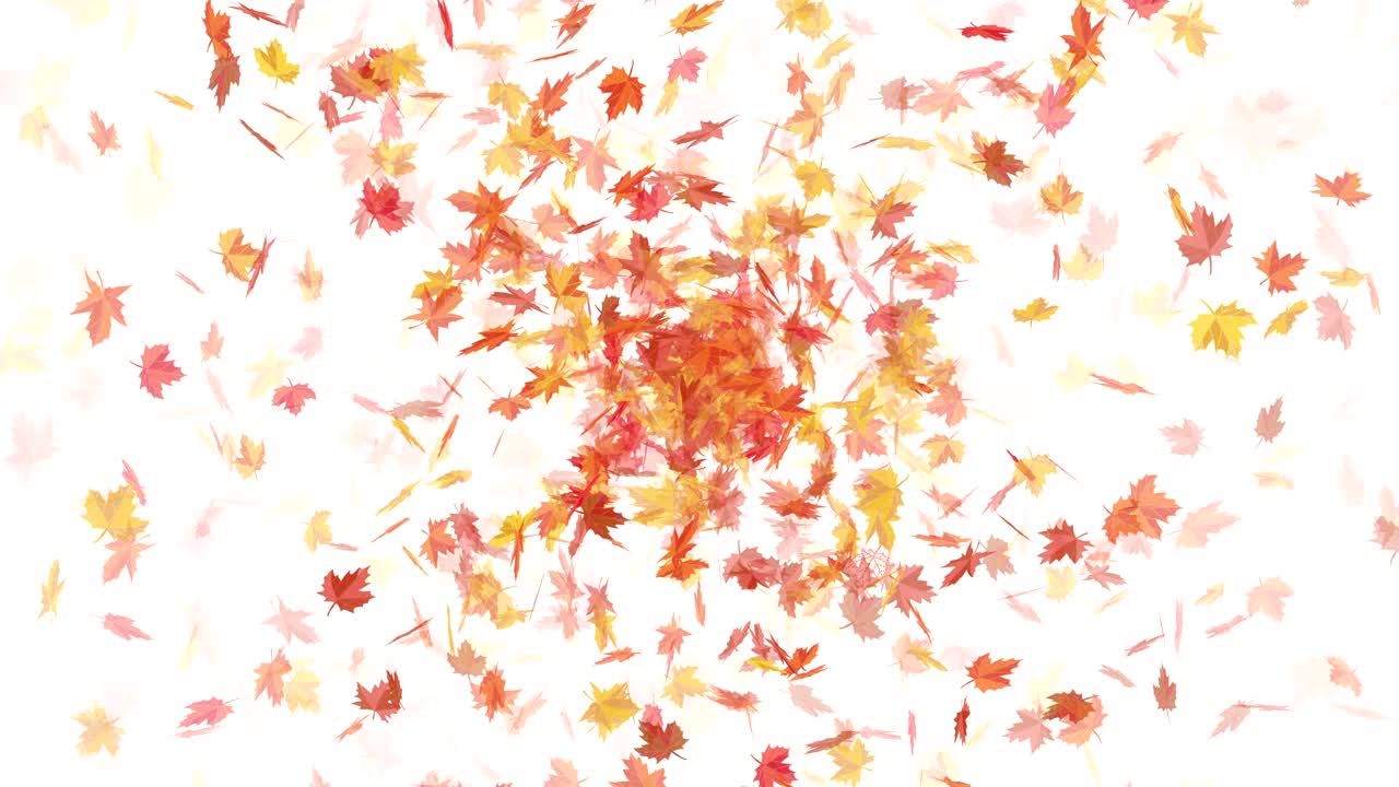 메이플리프 폭발