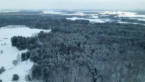 Toma-Panorámica-Aérea-Del-Paisaje-Invernal-De-Cuento-De-Hadas-Con-árboles-Y-Campos-Rurales-Nevados-En-La-Naturaleza