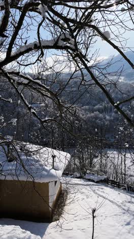 snow melt drop from top trees in forest rural village countryside nature park branch mountain hills iran sky close-up ice weather climate no foliage spring sunlight water source nature farm rice paddy