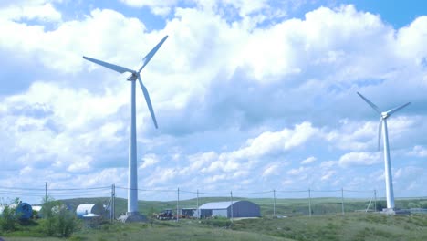 wind farm on a sunny day