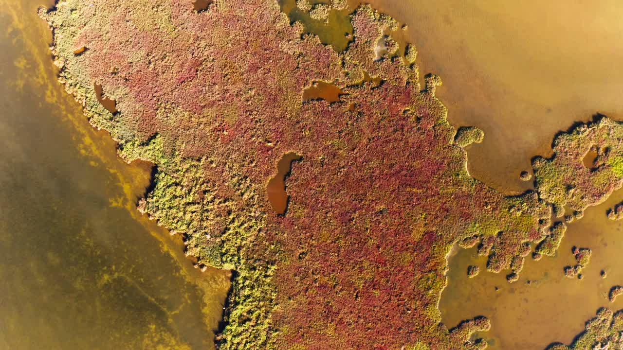 Moving overhead drone top down shot travelling over warm coloured natural marsh land near Mandurah, Western Australia.
