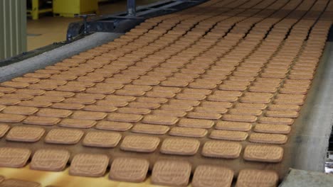 conveyor belt at a confectionery factory with sweet cookies in motion