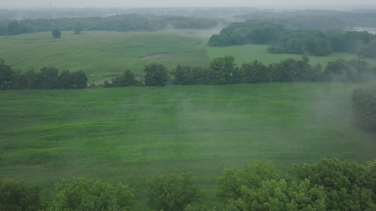 아침 동안 녹색 에 증발의 공중 촬영