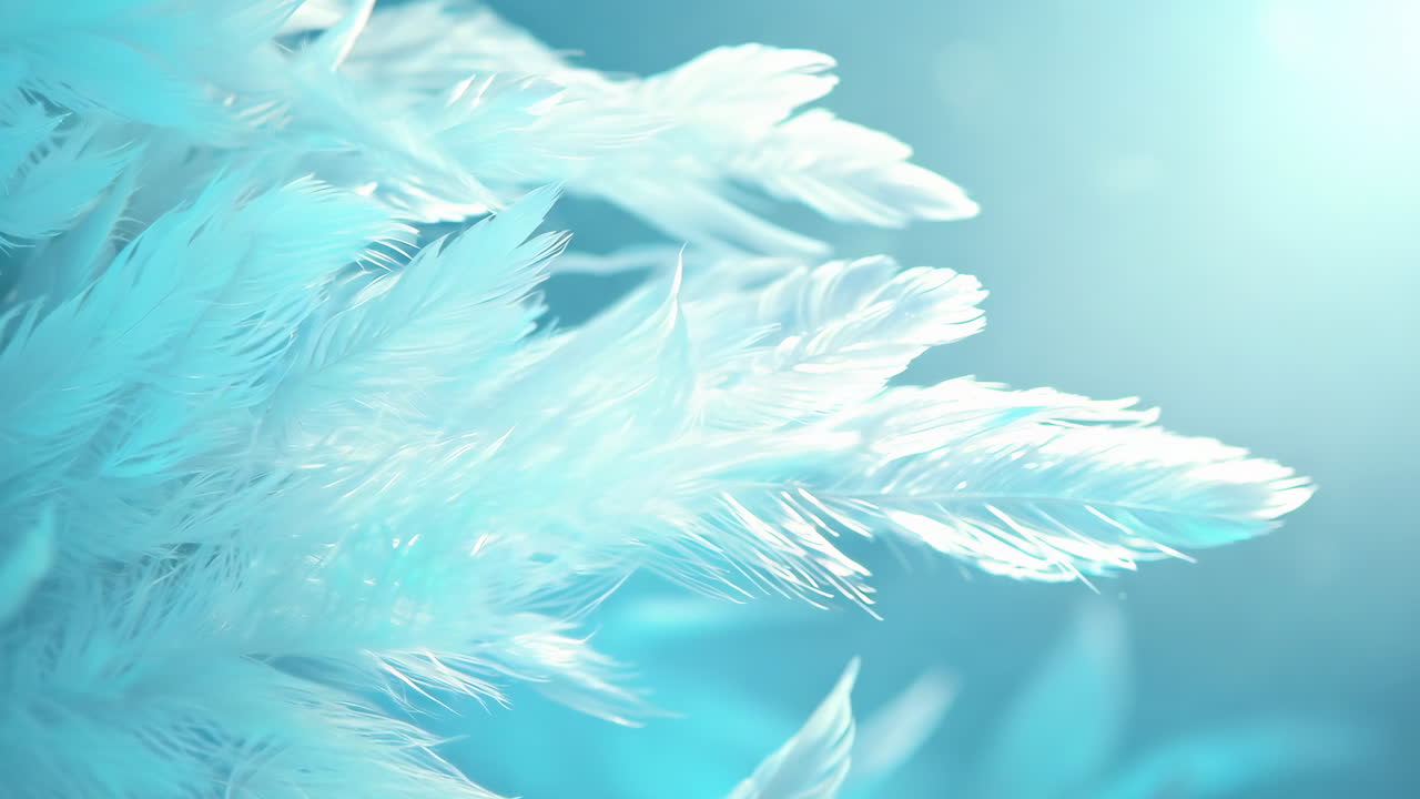 A close up of a flock of white feathers, with the blue sky in the background