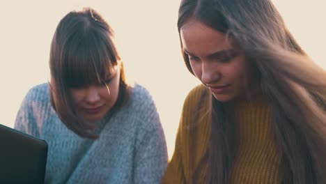 Mujeres-Bonitas-Con-Computadoras-En-Un-Cómodo-Camping.