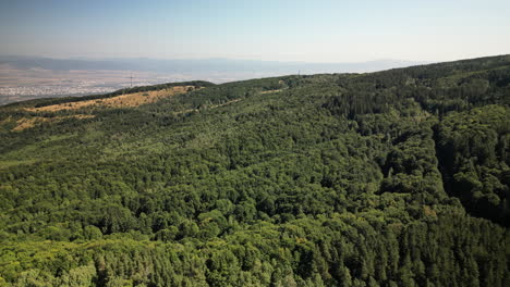 Lineare-Vorwärtsluftaufnahmen-über-Dem-Dichten-Wald-Von-Vitosha-Zeigen-Die-Stadt-Sofia-Hinter-Dem-Berg