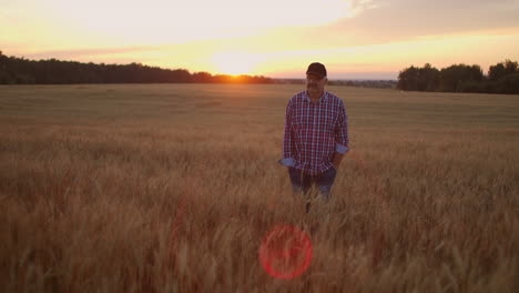 vista frontal: un agricultor anciano camina por un campo de trigo al atardecer. la cámara sigue al agricultor caminando por el campo de centeno en cámara lenta