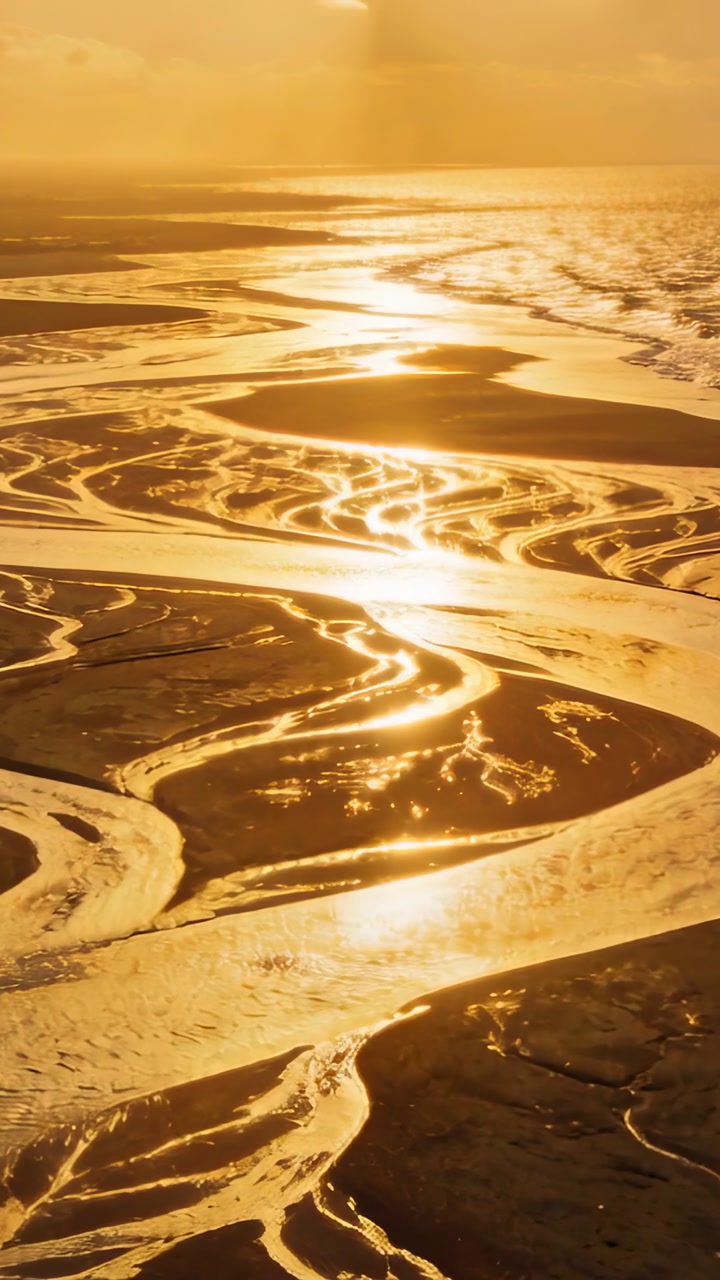 Vertical video: Gliding drone showing braided tidal channels at coastal estuary, with sunlit glints