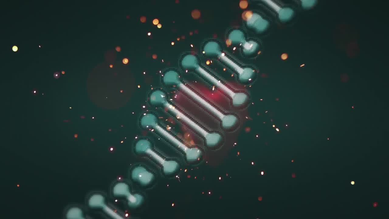 animación de la cadena de adn girando con corazones rojos y brillo cayendo sobre un fondo negro