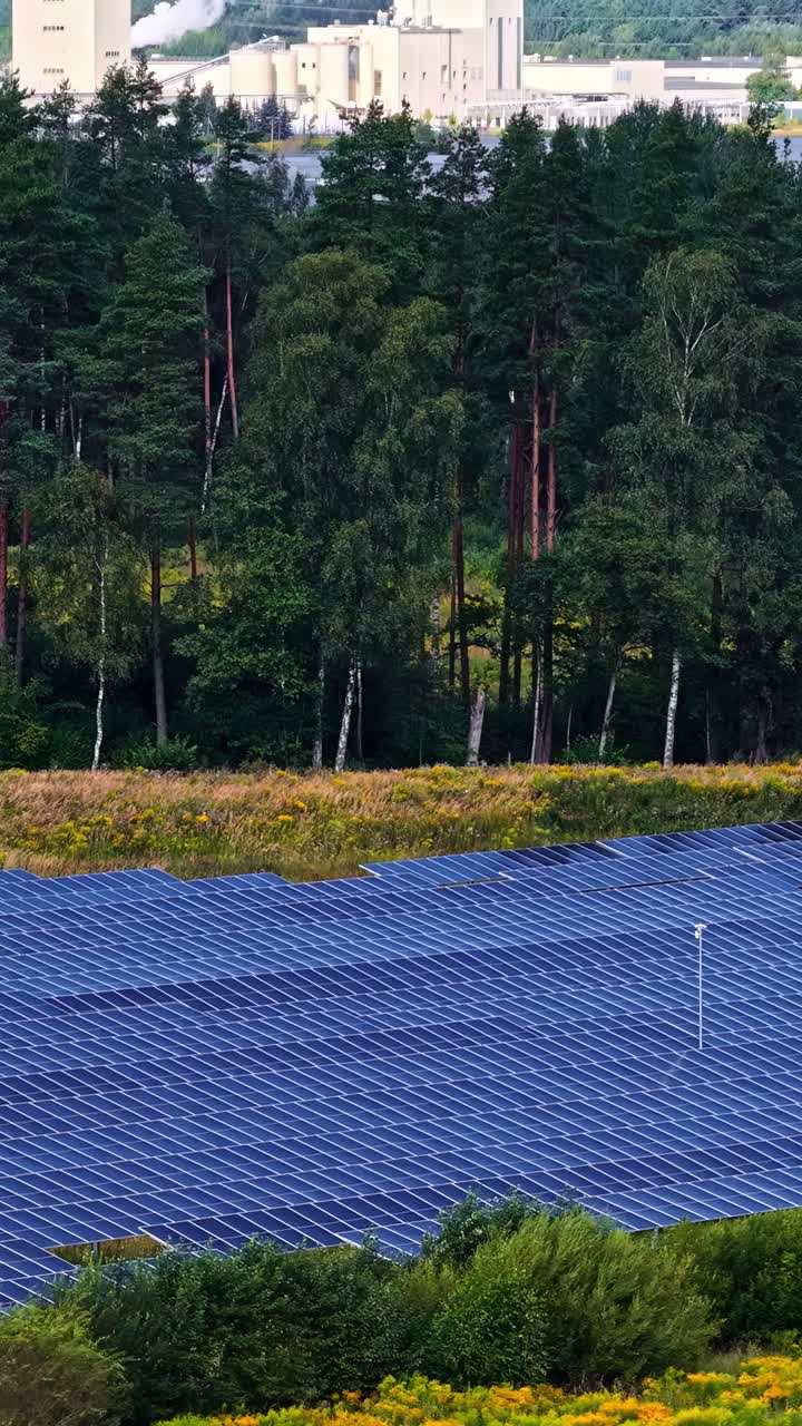 Solar Panels and Forest Landscape