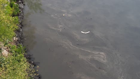 polluted river with debris