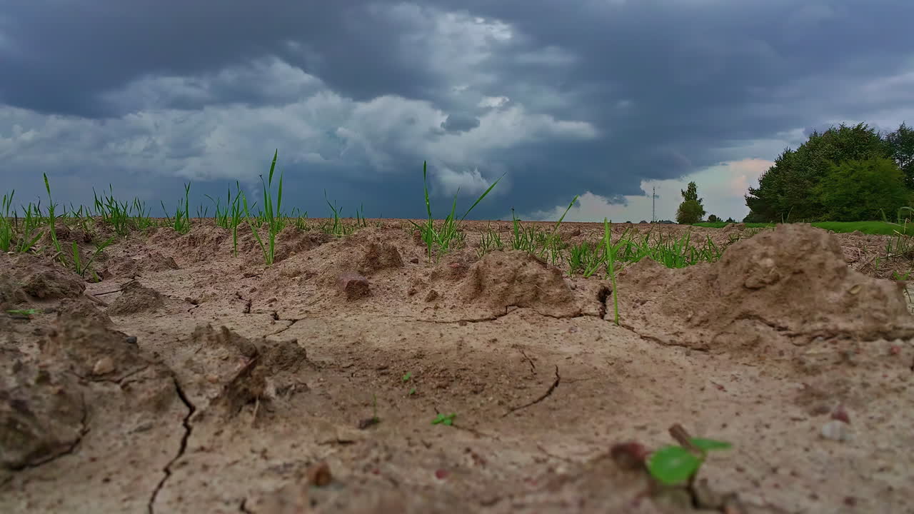 nubes tormentosas se reúnen sobre un campo de tierras de cultivo - el lapso de tiempo de ángulo bajo de una fila de cultivos