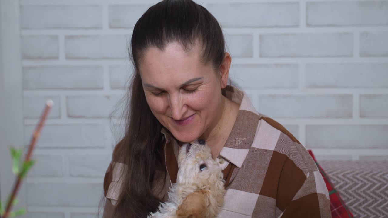 Joyful pet owner playing with adorable poodle puppy on cozy sofa amidst lush indoor plants and gardening tools on glass table capturing warm affectionate bonding moment in stylish home setting
