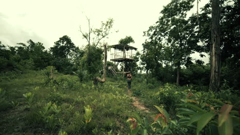 woman hiking in a tropical forest with an observation tower