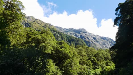 電影般的全景拍攝 巨大的山脈和茂密的綠色森林樹木在山谷